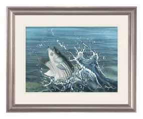 Launching Striper and Deceiver Original Painting